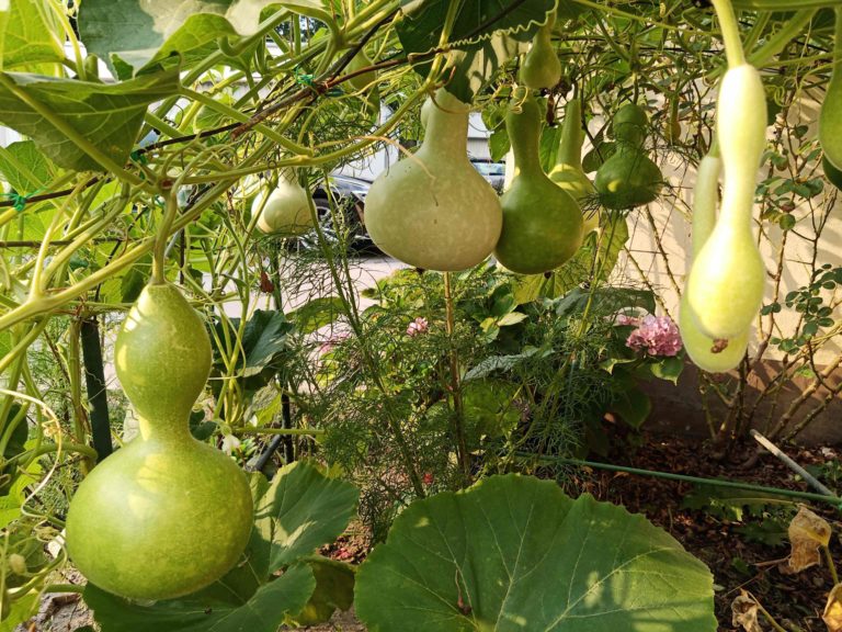 IMG_20190825_180643